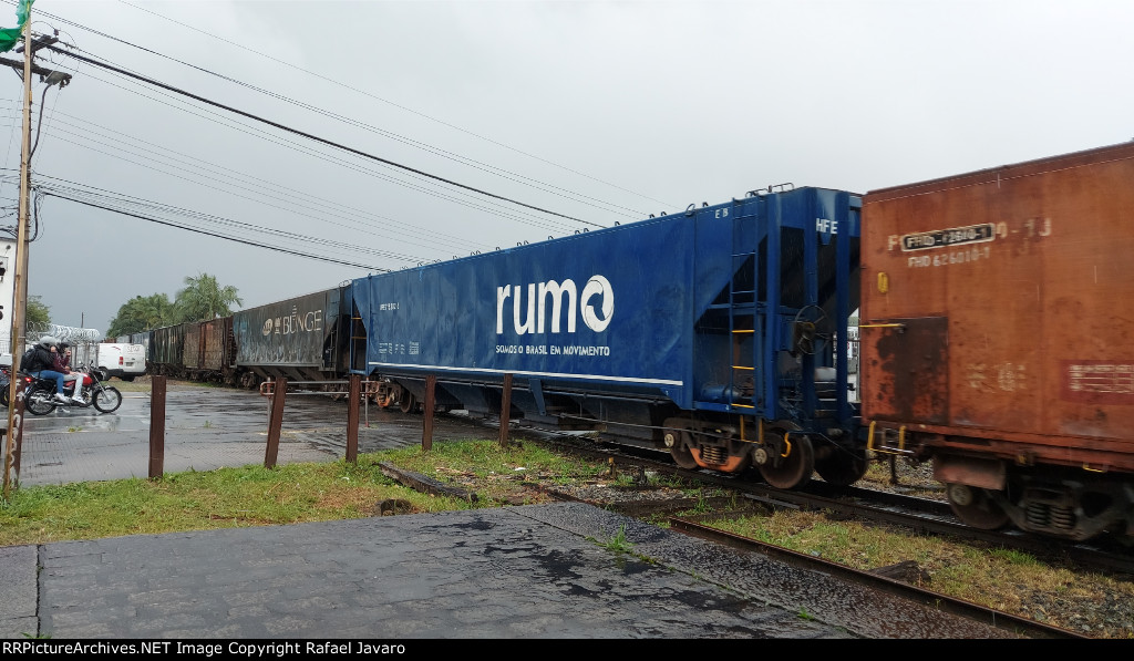 RUMO HFE715282-5